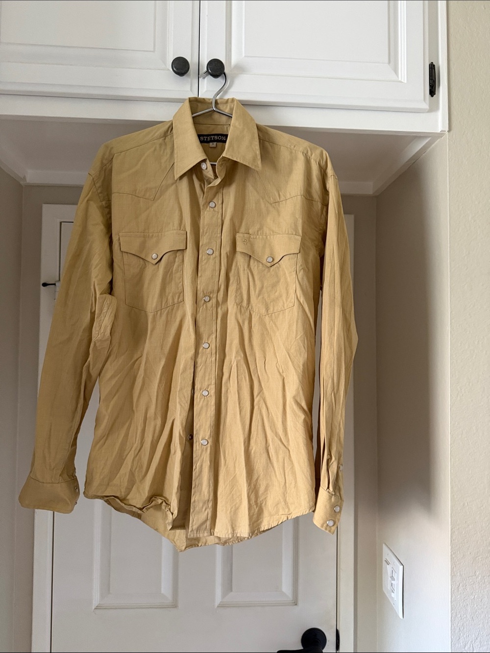 Stetson Men's Long Sleeve Western Shirt in Light Tan